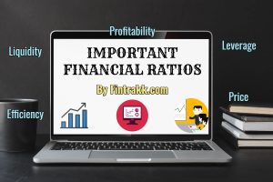 Important Basic Financial Ratios